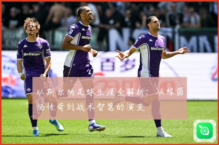 以斯尔纳足球生涯全解析：从绿茵场传奇到战术智慧的演变