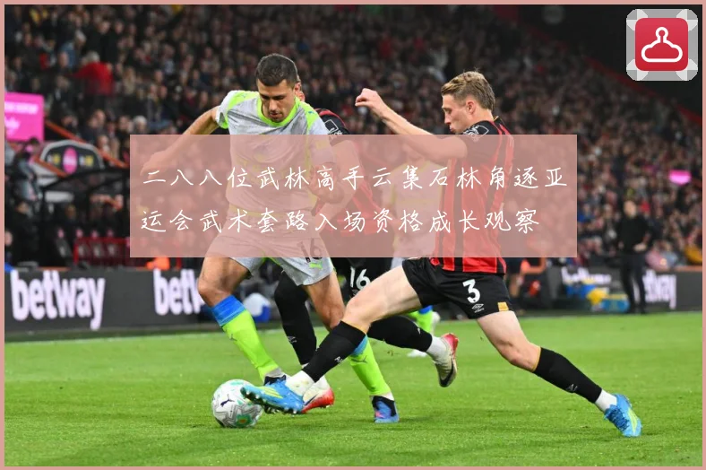 二八八位武林高手云集石林角逐亚运会武术套路入场资格成长观察