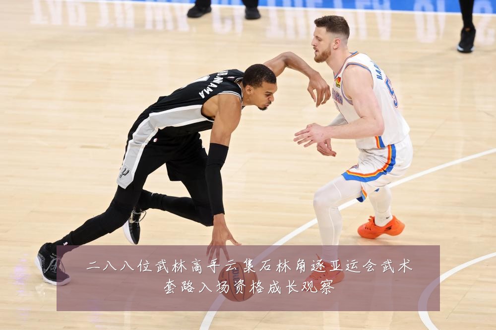 二八八位武林高手云集石林角逐亚运会武术套路入场资格成长观察